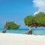 Aruba