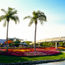 Walt Disney World