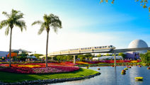 Walt Disney World