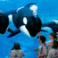 SeaWorld