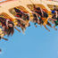 Six Flags