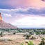 Arizona