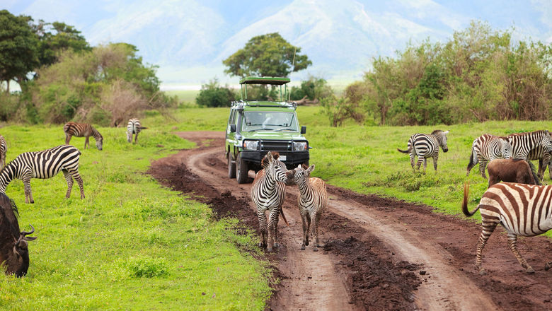 The African Wildlife Foundation has launched a series of virtual safaris.