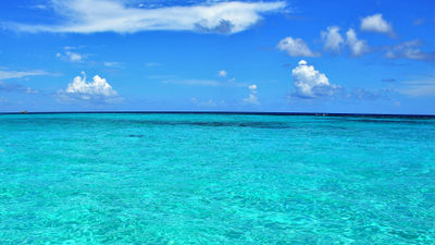 Hurricanes slow down a gainful year for Caribbean tourism