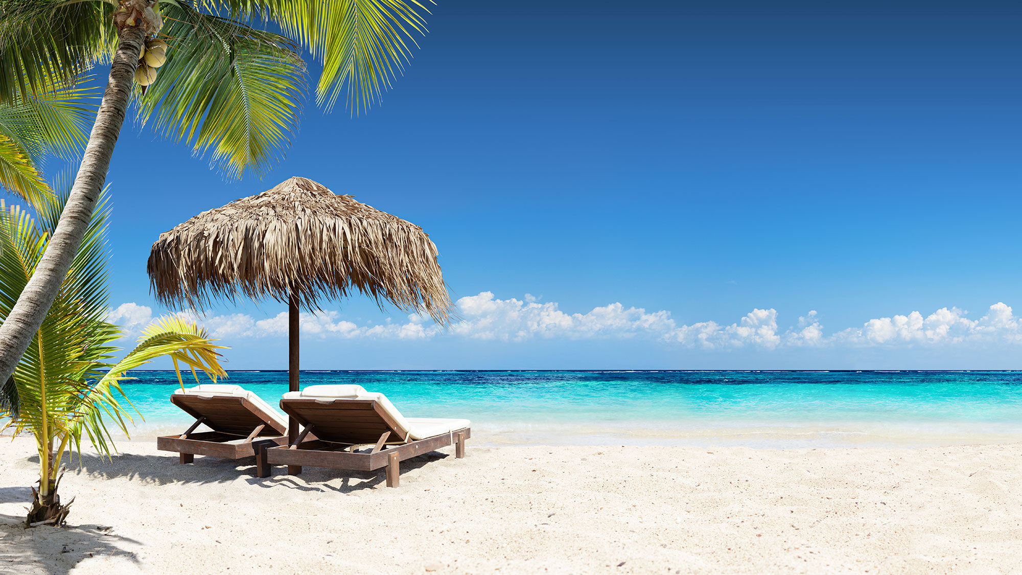 Caribbean resorts now seeing big drops in RevPAR, occupancy