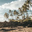 Inside the $6 million marketing campaign aimed at Maui's tourism recovery