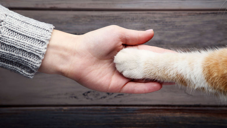 Fight over emotional support animals grows amid exploitation of the rules: Travel Weekly Fight over emotional support animals grows amid exploitation of the rules: Travel Weekly