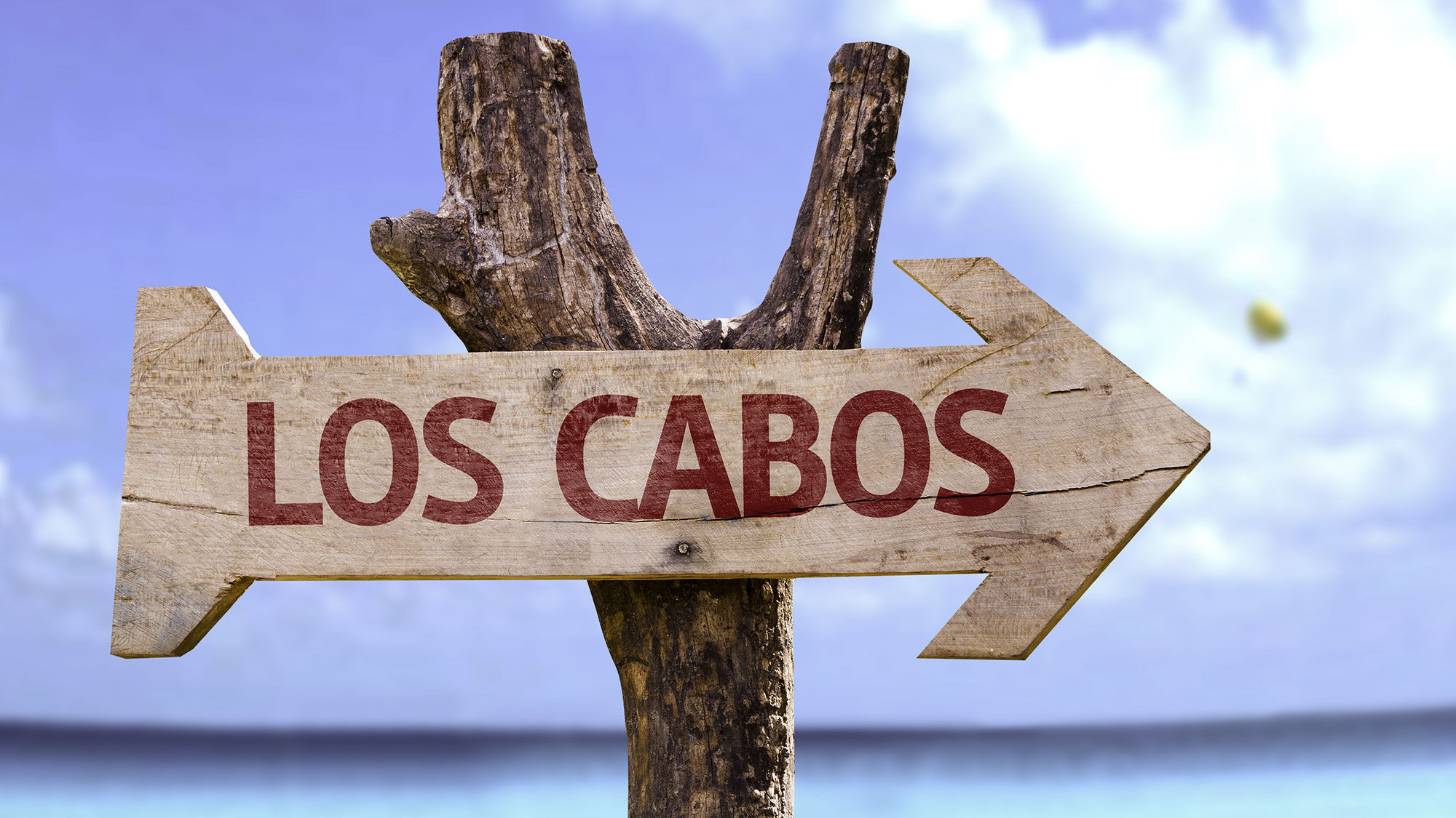 New initiative to seek contributions from Los Cabos visitors