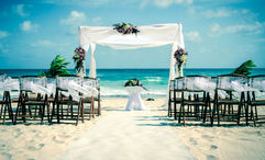 ASTA and IADWP have joined forces.