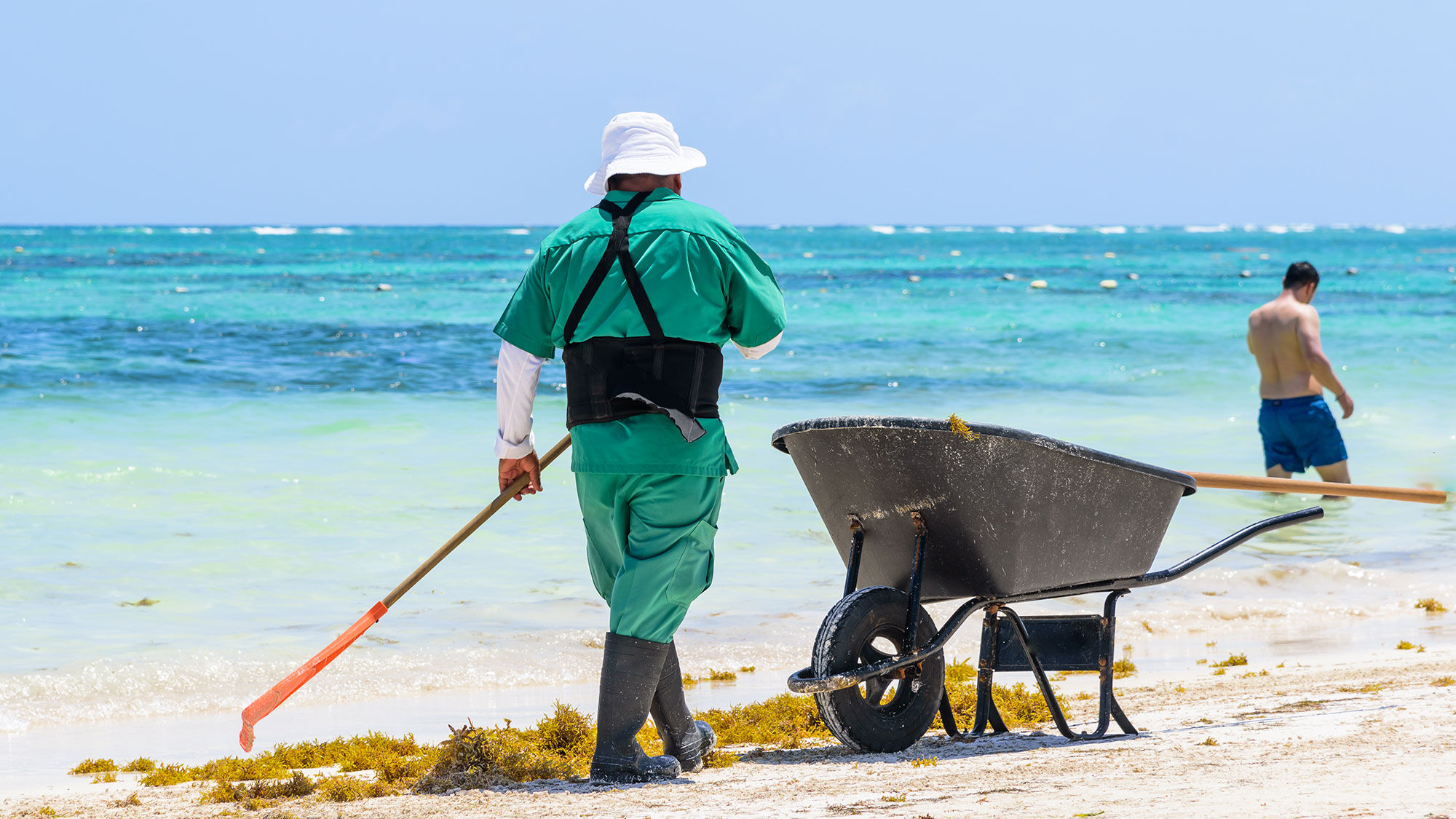 A sargassum cleanup in Playa del Carmen.