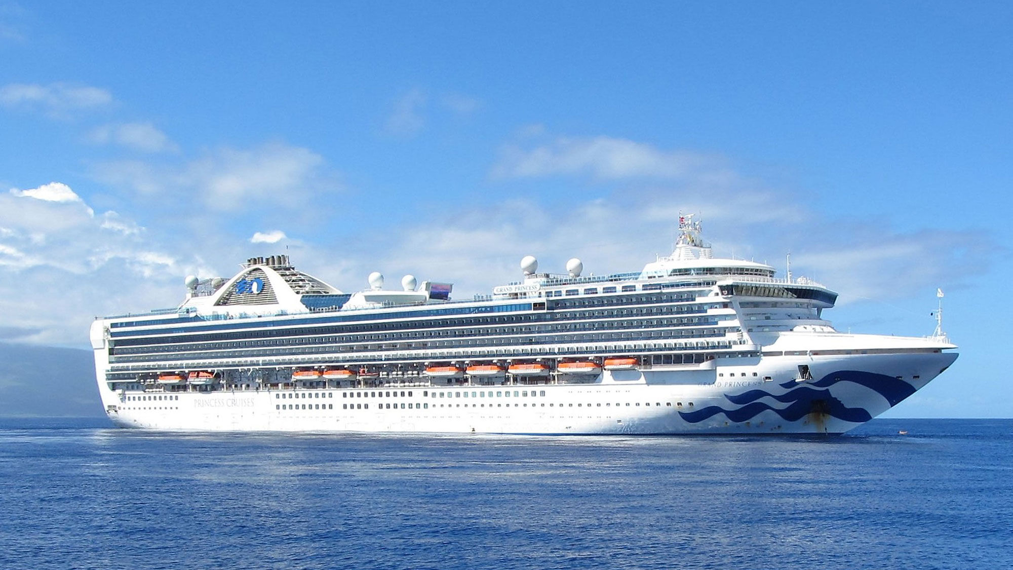 Princess Cruises pauses operations for 60 days