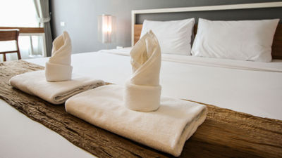 Expedia affiliates earn one point for every dollar spent on lodging.
