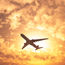 Airfares dropping as pent-up demand eases