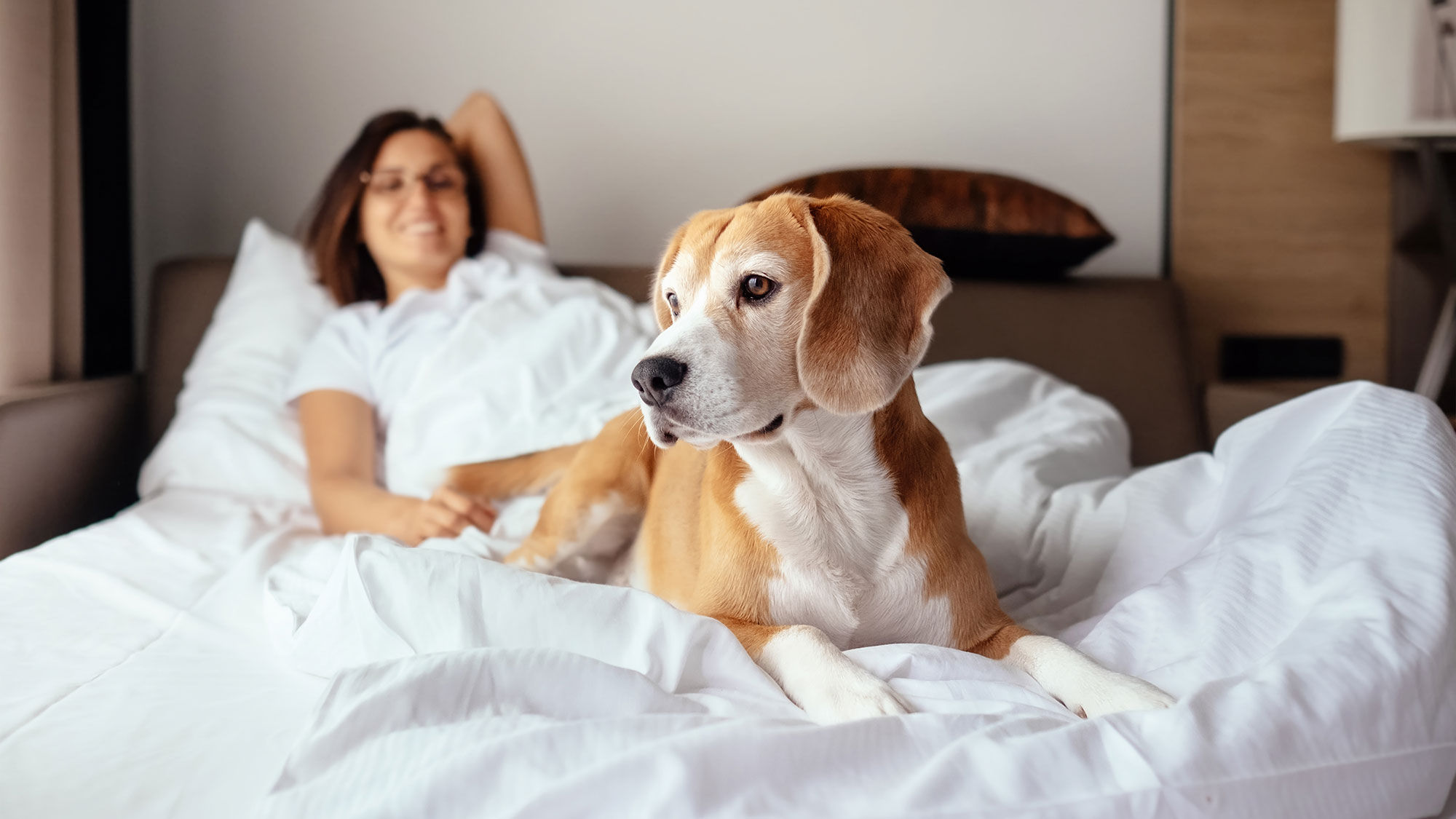 Live Aqua Urban Resort San Miguel de Allende has introduced new dog-friendly accommodations and amenities.