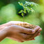 Avenue Two Travel's foundation is working on new sustainability training