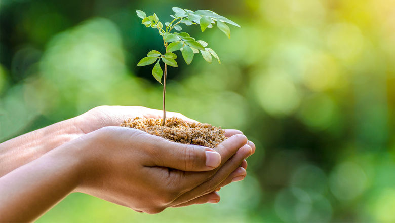 Avenue Two Travel's foundation is working on new sustainability training