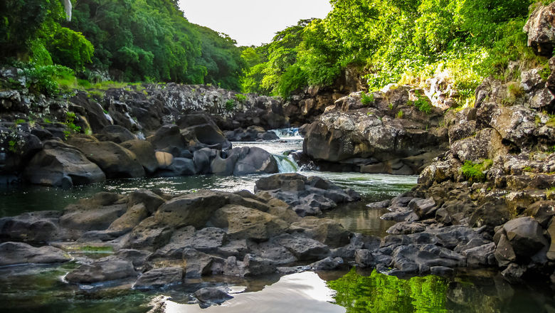 Black Gorges National Park in Mauritius preserves the island's natural plantlife.