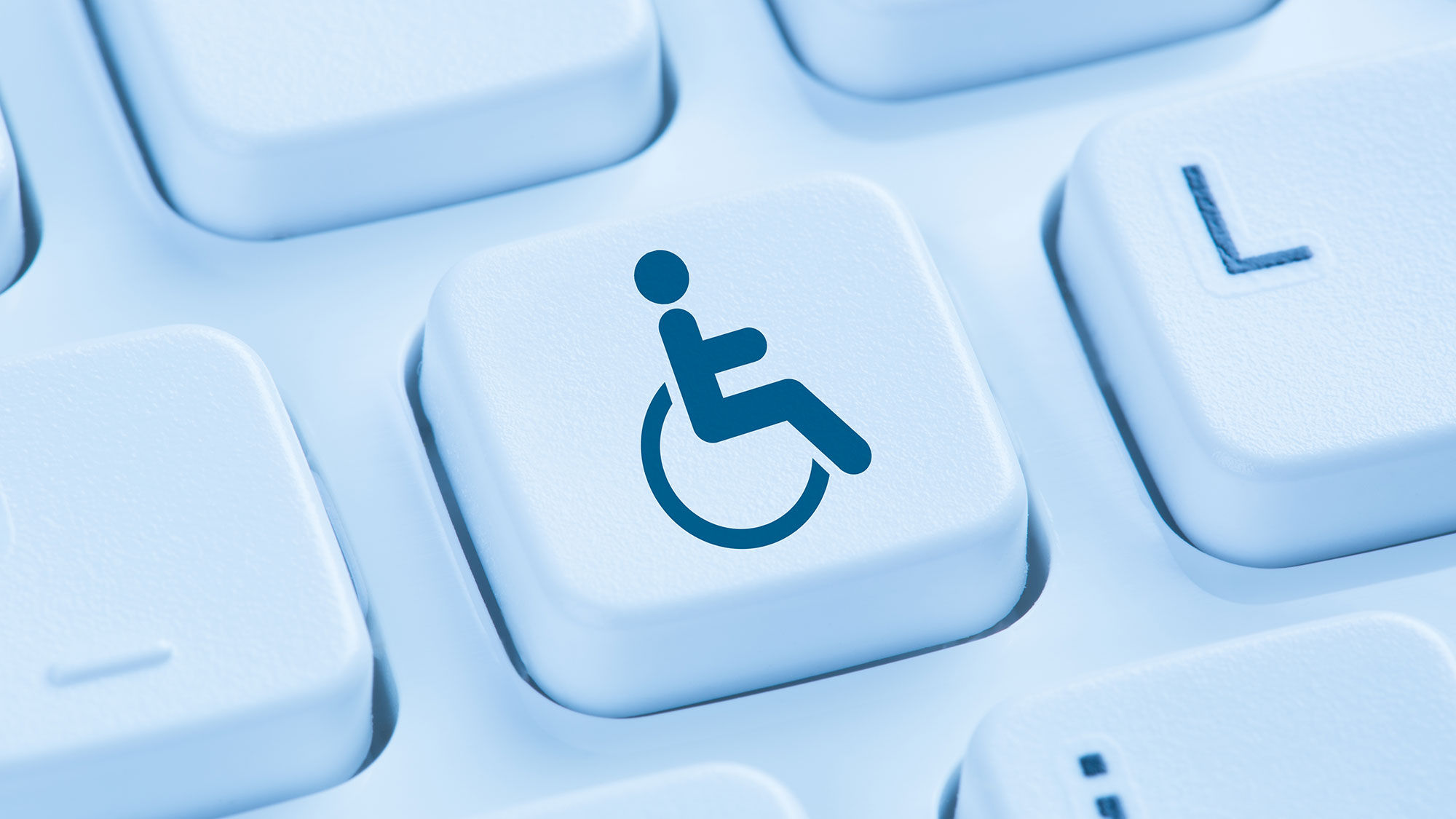 Only 2% of the internet is truly accessible to the full disabled community.