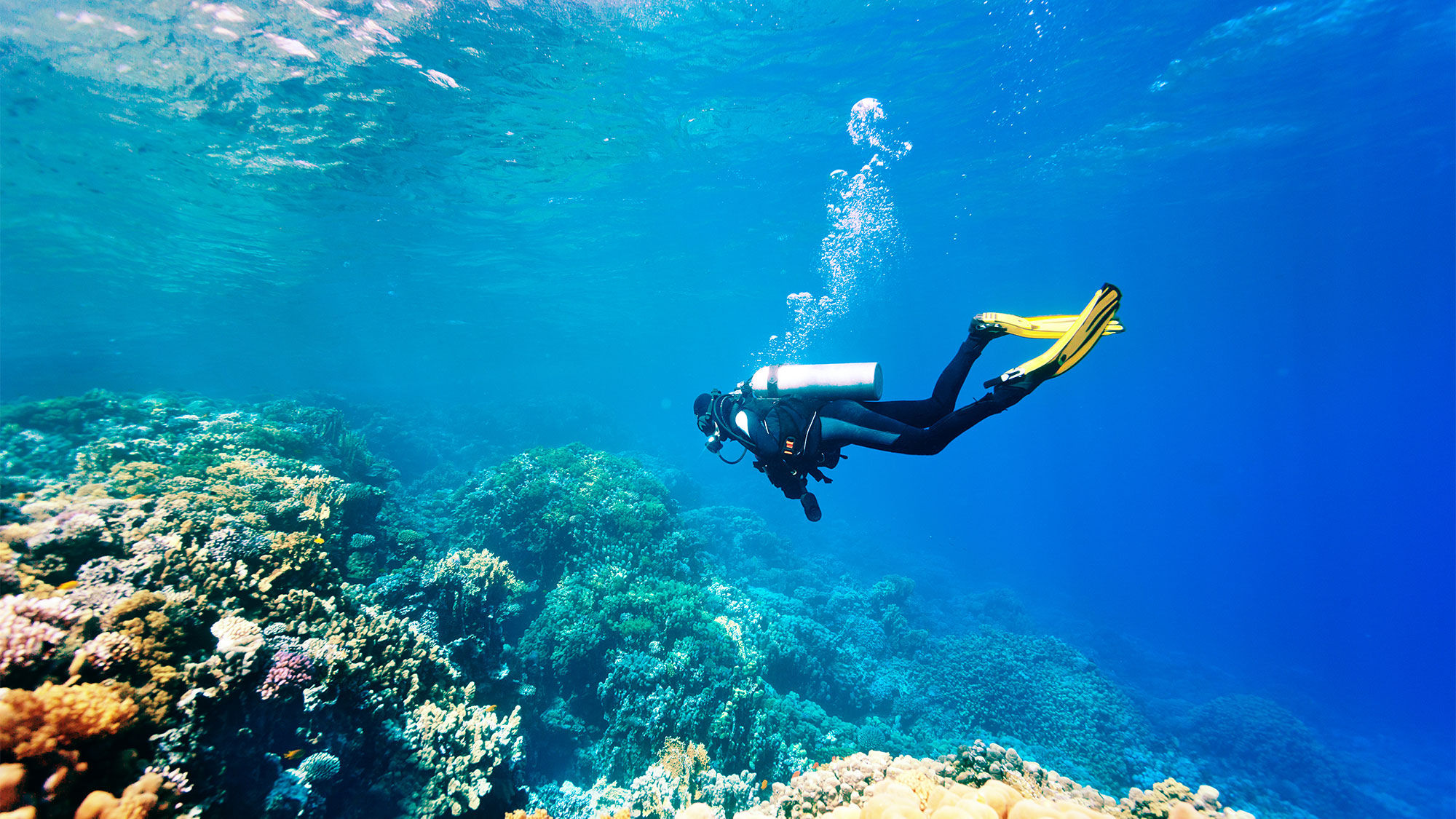 The Montage Los Cabos has recently launched a new Montage Dive Center in partnership with Compass Sports.