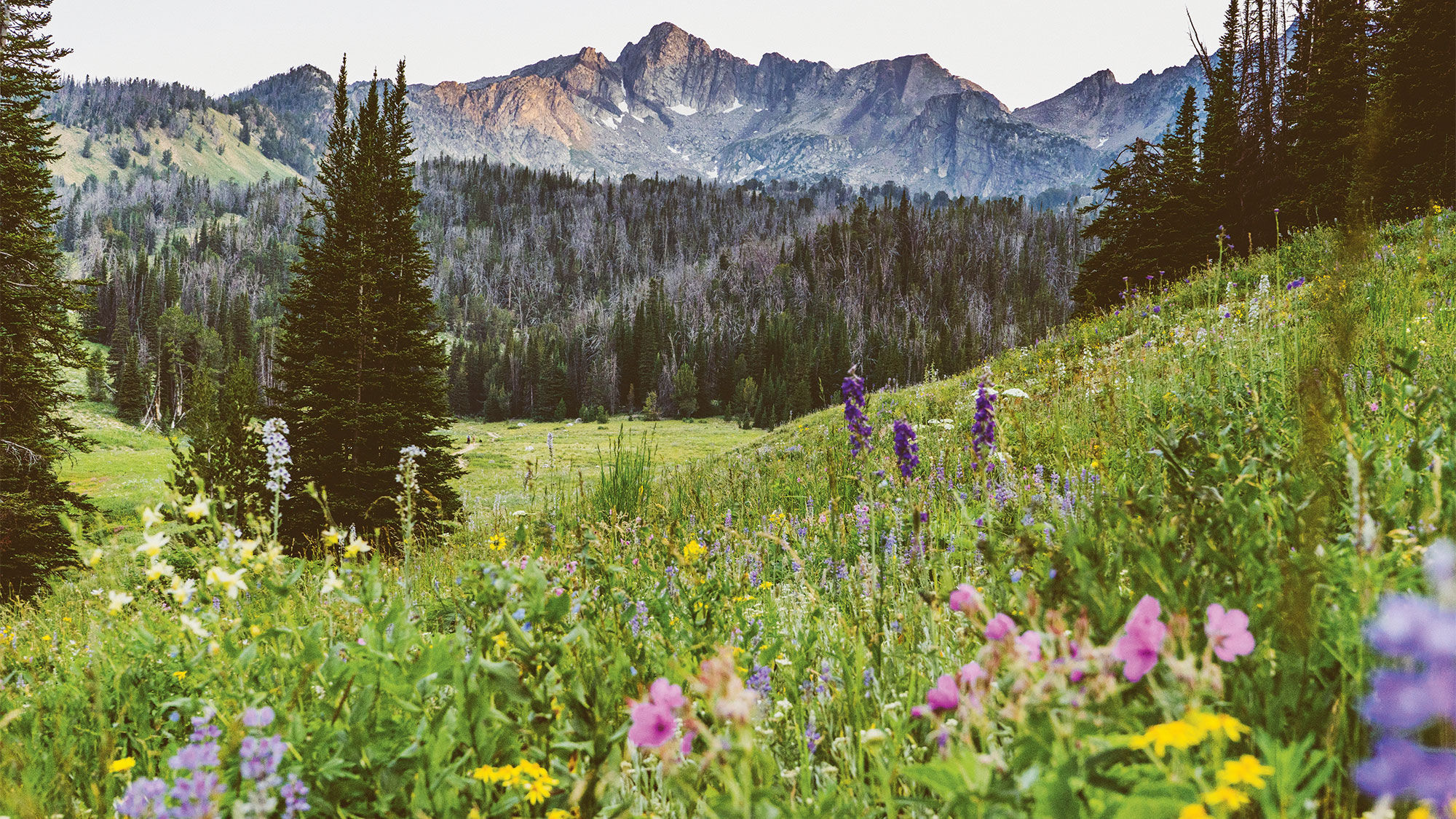 From Bozeman to Sedona, travelers flock to western U.S.