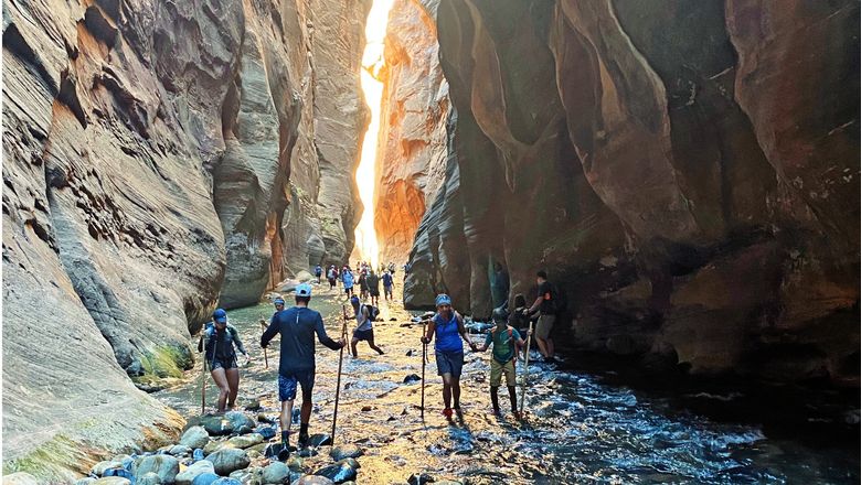 In Utah, the Governor's Office of Economic Opportunity will dedicate $5 million toward keeping five parks open, including Zion.