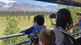 Alaska is busy