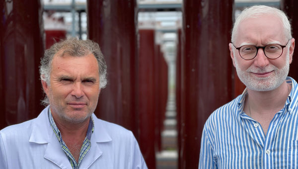 Luis Teves, co-founder of Algicel, with Goncalo Teixeira da Mota, managing partner, in Algicel's field of bioreactors, each one incubating microalgae to produce astaxanthin. Luis Teves, co-founder of Algicel, with Goncalo Teixeira da Mota, managing partner, in Algicel's field of bioreactors, each one incubating microalgae to produce astaxanthin.