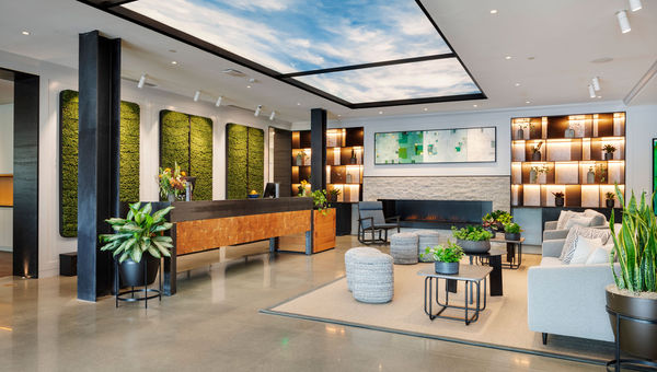 The reception and lobby area features a moss-lined installation created by Plantwerks and Matt Hutton, a design artist based in Portland. The reception and lobby area features a moss-lined installation created by Plantwerks and Matt Hutton, a design artist based in Portland.