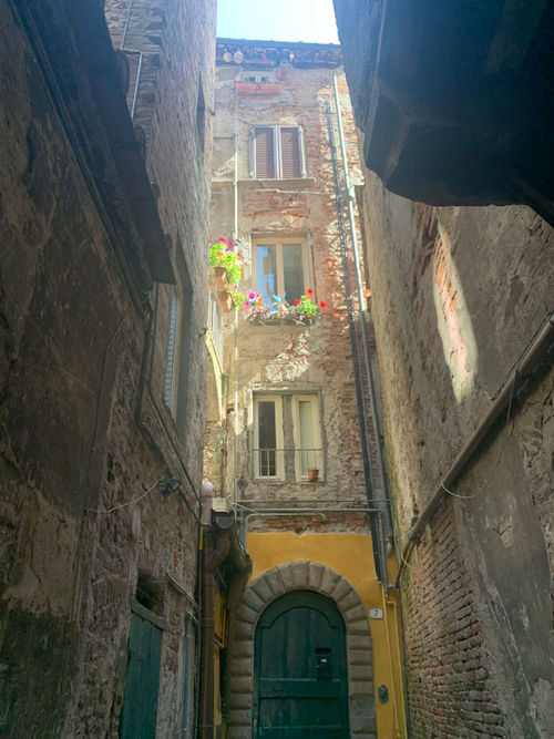 There are all sorts of hidden doorways and gardens tucked away in Lucca.