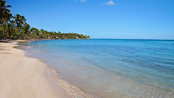 The resort’s beach on Samana Bay is wide and long, with plemty of space for everyone. The resort’s beach on Samana Bay is wide and long, with plemty of space for everyone.