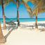 Couples Resorts launches a new booking engine for travel advisors