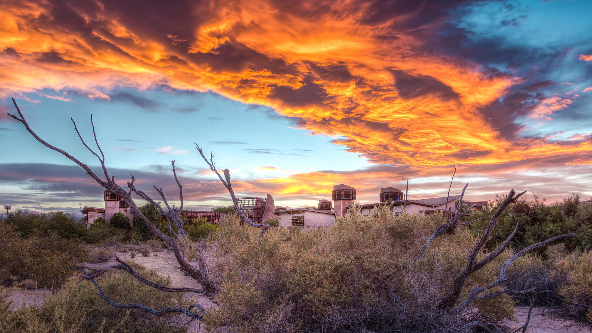The preserve is the site of the spring mound where water sustained life long before Las Vegas became a city.