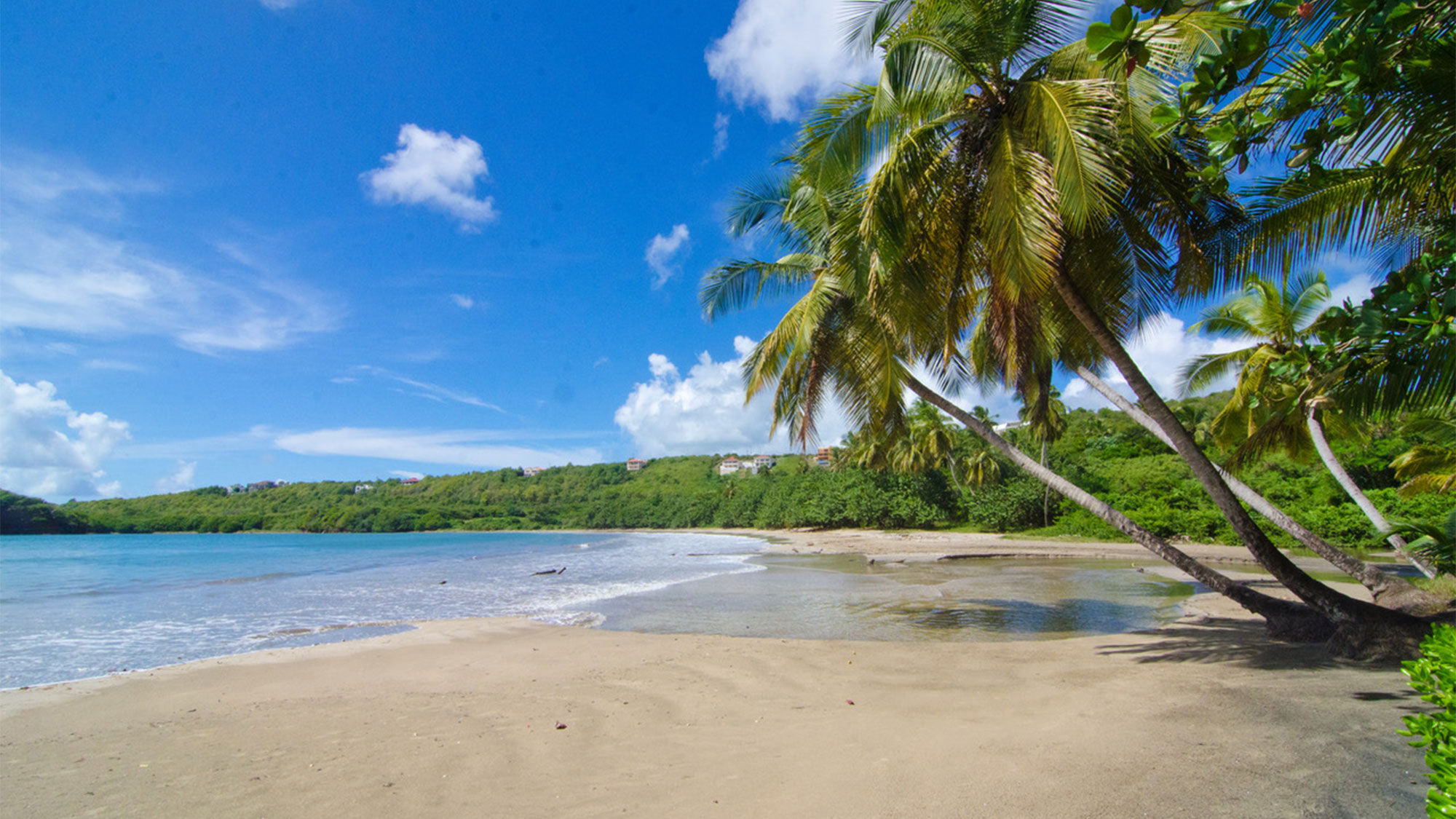 A view from the La Sagesse Hotel, Restaurant & Beach Bar in St. David's, Grenada. All visitors to Grenada must be fully vaccinated, effective July 31.