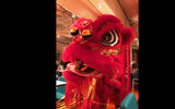 A Chinese dragon entertains during dinner at Chibang, a new restaurant concept on Mardi Gras which serves both Mexican and Chinese food.