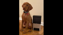 What's New, What's Hot is Travel Weekly's look at useful and fun travel gadgets, edited by Joe Rosen. First up, the Petcube Bites 2 high-def camera and treat dispenser, designed to give pet owners, and their pets, peace of mind.