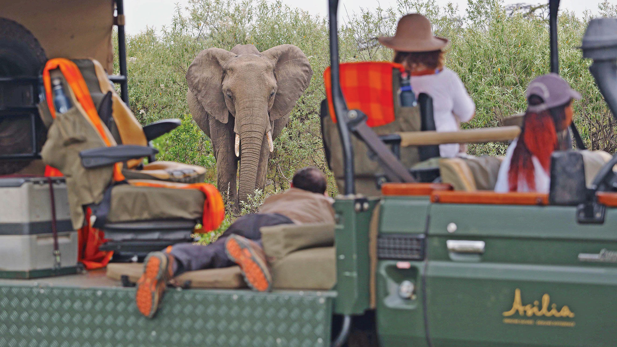 Bigger than the Big Five: Safari operators eye a new narrative