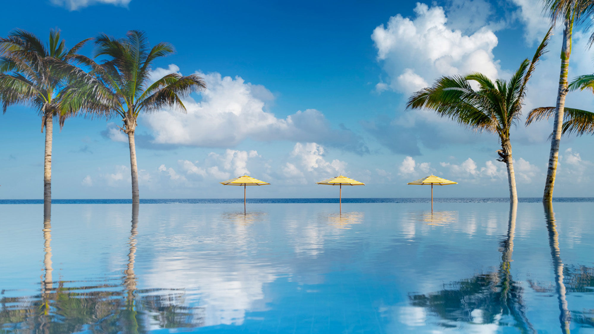 The pool at the Half Moon resort in Montego Bay.