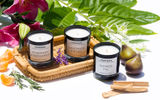 What's New, What's Hot is Travel Weekly's look at useful and fun travel gadgets, edited by Joe Rosen. First up, Fernweh Scented Travel Candles. Each clean-burning soy candle in this collection is scented to remind you of a treasured journey, whether to, say, France, the Pacific islands or the Cascadian mountains.