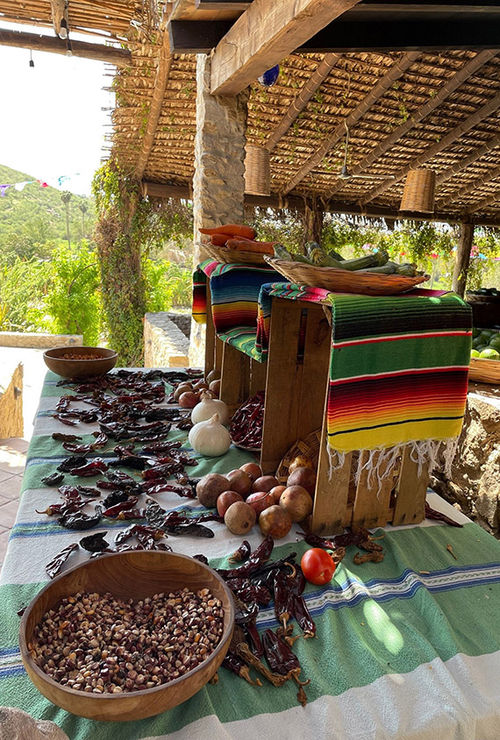 The cooking school at Los Tamarindos uses a space that dates back more than 100 years. The cooking school at Los Tamarindos uses a space that dates back more than 100 years.
