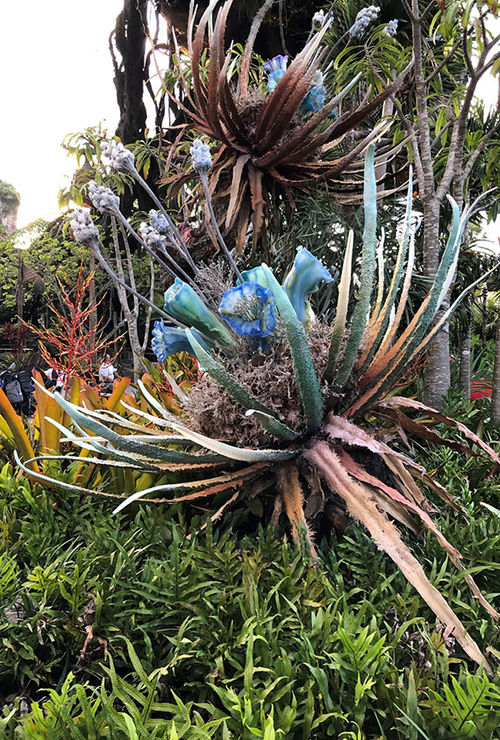 Bioluminescent plant life from the imaginary moon Pandora is on display outside the Avatar Flight of Passage ride at Animal Kingdom. Bioluminescent plant life from the imaginary moon Pandora is on display outside the Avatar Flight of Passage ride at Animal Kingdom.