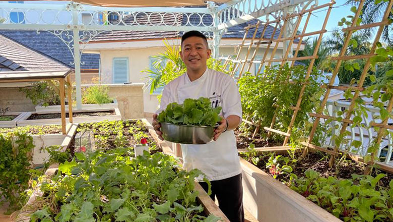 Chef Edwin Gallardo works in the rooftop garden at Seven Stars Resort & Spa in Providenciales, Turks and Caicos.