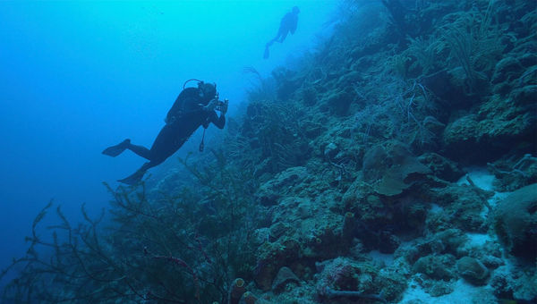 Divers mapping the coral reefs of Curacao. Divers mapping the coral reefs of Curacao.