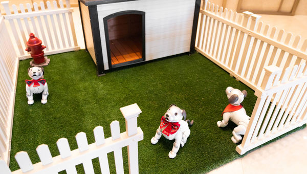 AI-powered robotic puppies greet guests in the Conrad lobby at Resorts World. AI-powered robotic puppies greet guests in the Conrad lobby at Resorts World.