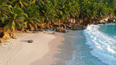 Jamaica's tourism outlook is bright, according to tourism officials.