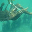 Grenada completes a renovation of its underwater sculpture park