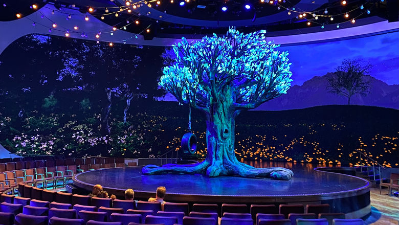 The "Tree of Life" entertainment show on the Celebrity Apex. The ship was praised by travel advisors.