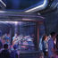 Disney's Epcot getting its first roller coaster