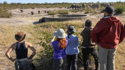 Guests on an Imvelo Safari Lodges outing.