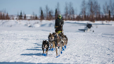 Wade Marrs and his dog team coming into an Iditarod checkpoint during the race last March.