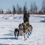 Culture and tradition on deck for 50th Iditarod